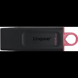 KINGSTON ALMACENAMIENTO DTX256GB
