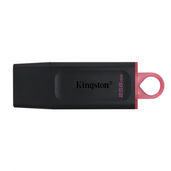 KINGSTON ALMACENAMIENTO DTX256GB