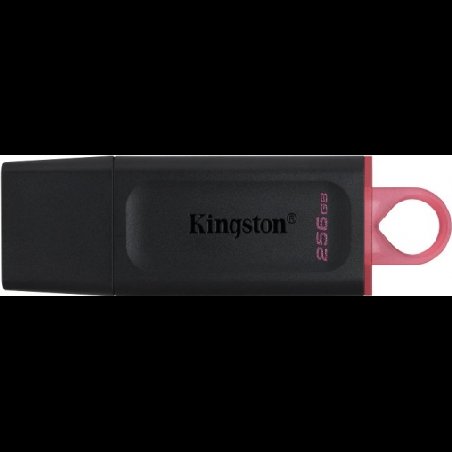 KINGSTON ALMACENAMIENTO DTX256GB