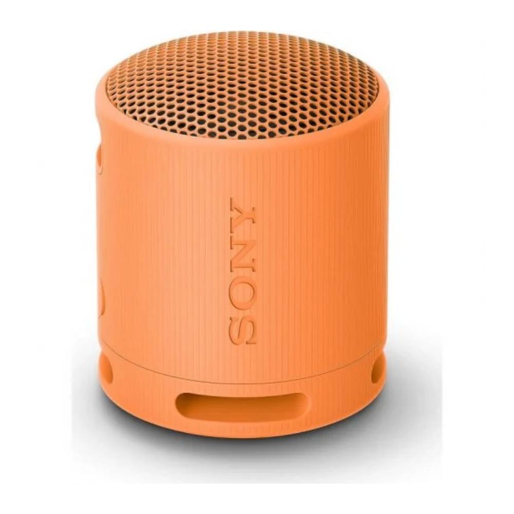 SONY COMPONENTES EQUIPO MUS SRSXB100D