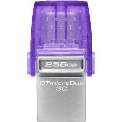 KINGSTON ALMACENAMIENTO DTDUO3CG3/256GB
