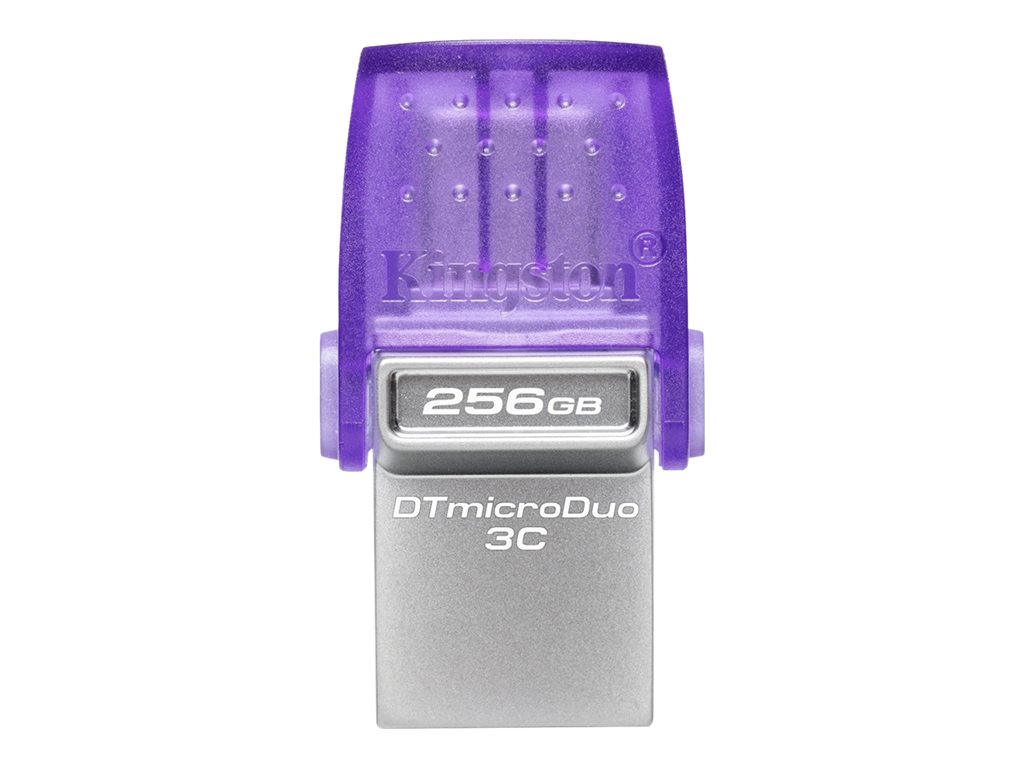 KINGSTON ALMACENAMIENTO DTDUO3CG3/256GB KINGSTON ALMACENAMIENTO DTDUO3CG3/256GB