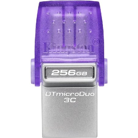 KINGSTON ALMACENAMIENTO DTDUO3CG3/256GB